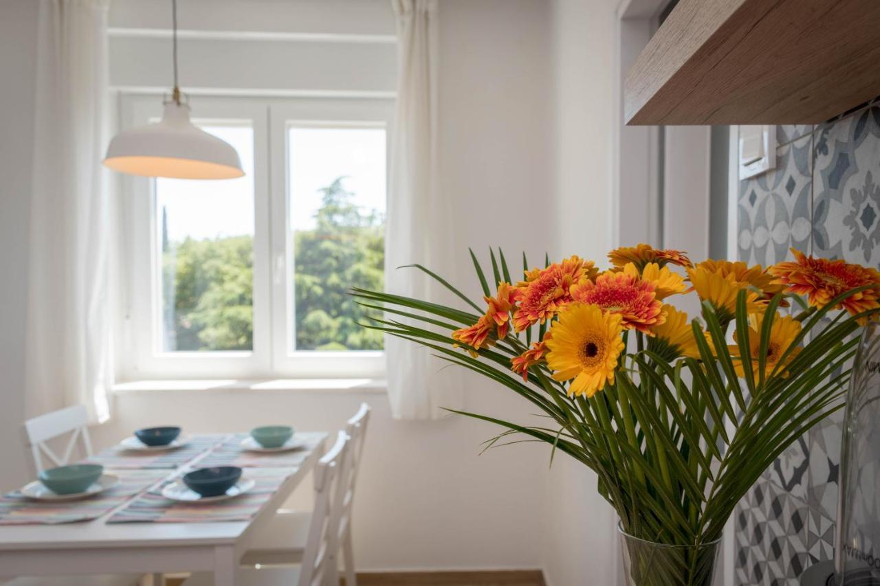 Nona Mileva Apartment PUY 외부 사진