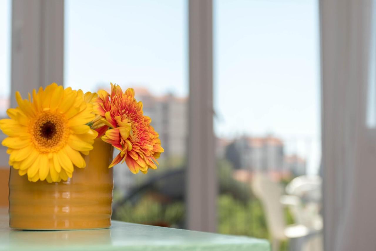 Nona Mileva Apartment PUY 외부 사진